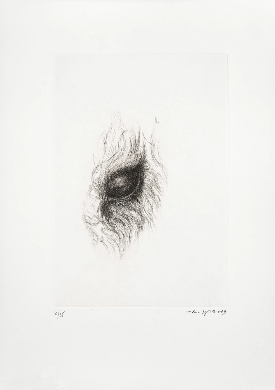 Ra'anan Levy Engravings - Vicky's eye